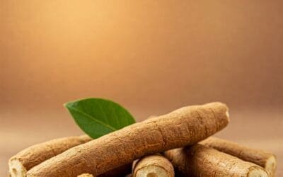 Beyond Doomscrolling: The Adaptogen Effect